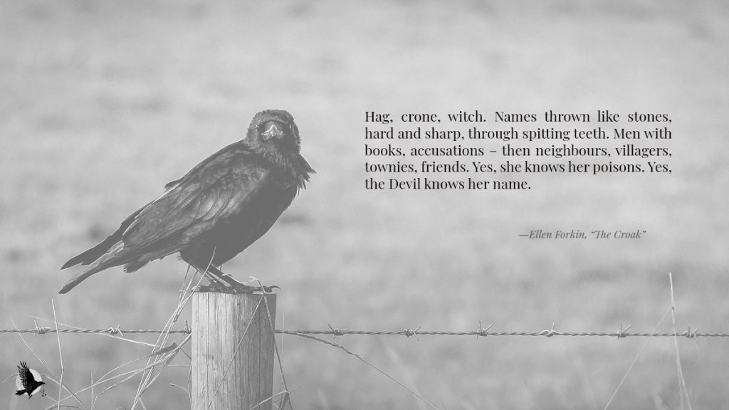 A quote of flash fiction 'The Croak' by Ellen Forkin. There is a black and white photo of a crow on a fencepost. 